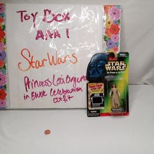 Princess Leia Organza In Ewok Celebration Outfit